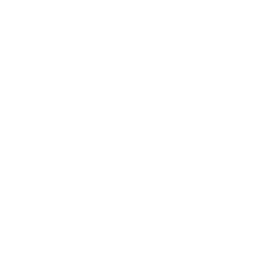 Natural Artisan Soap, LLC